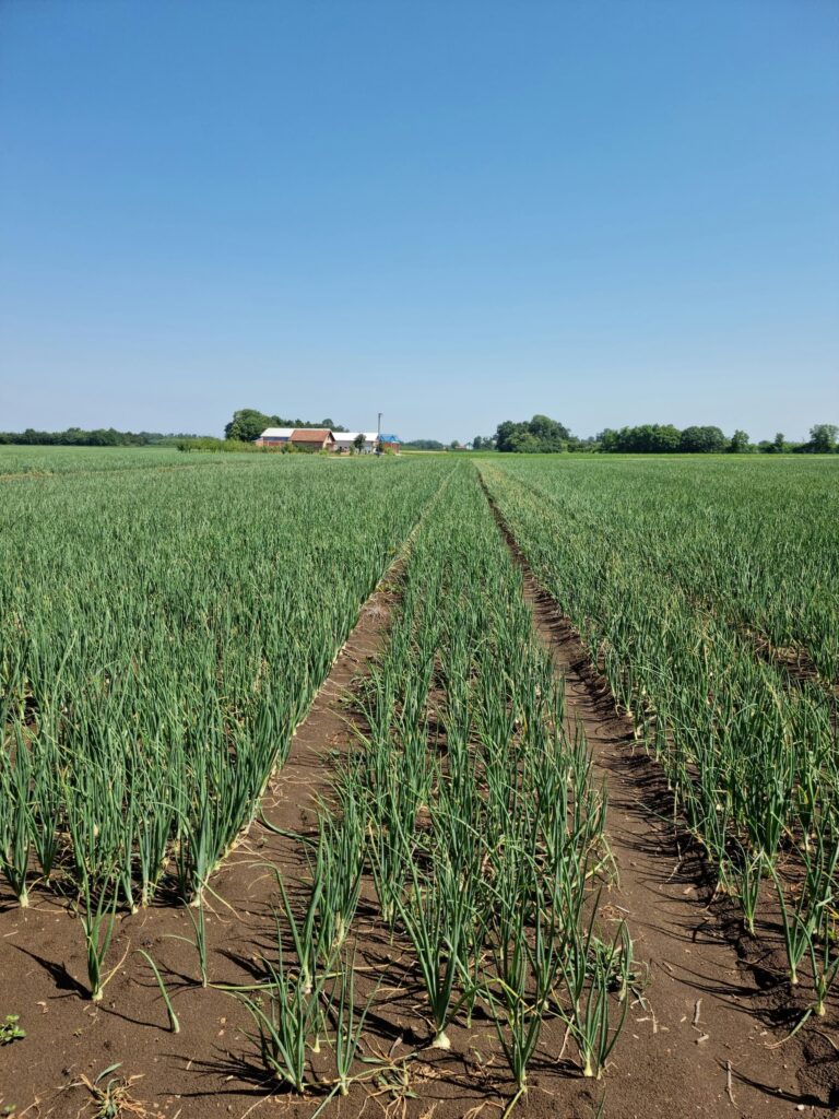PEST PRO okuplja velik broj stručnjaka (agronoma) koji imaju iskustva u ispitivanju učinkovitosti te registraciji sredstava za zaštitu bilja u Hrvatskoj