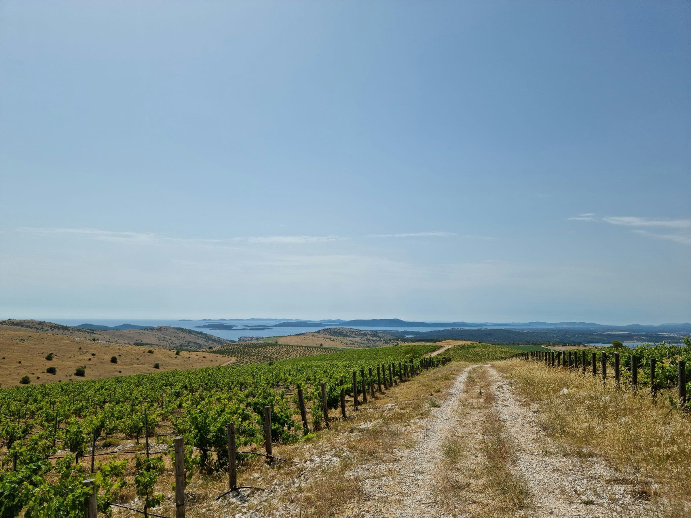 Poljski pokusi i testiranje u poljoprivredi