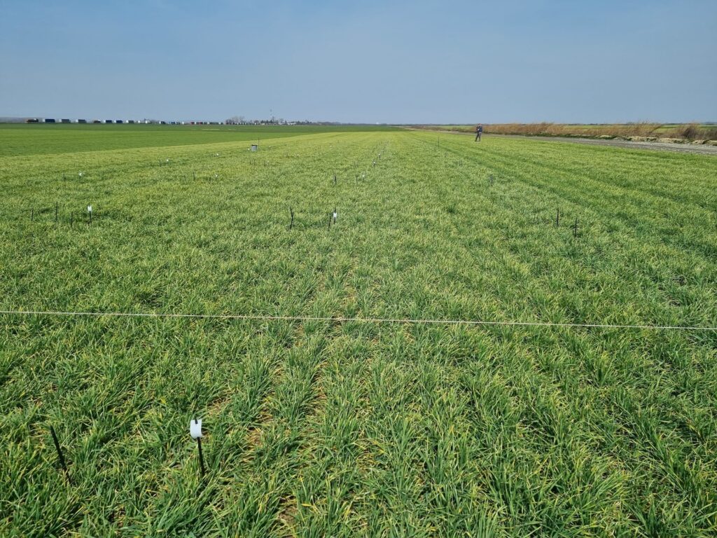 Pest PRO Specijalizirana je tvrtka za registraciju sredstava za zaštitu bilja i istraživanja poljskih pokusa