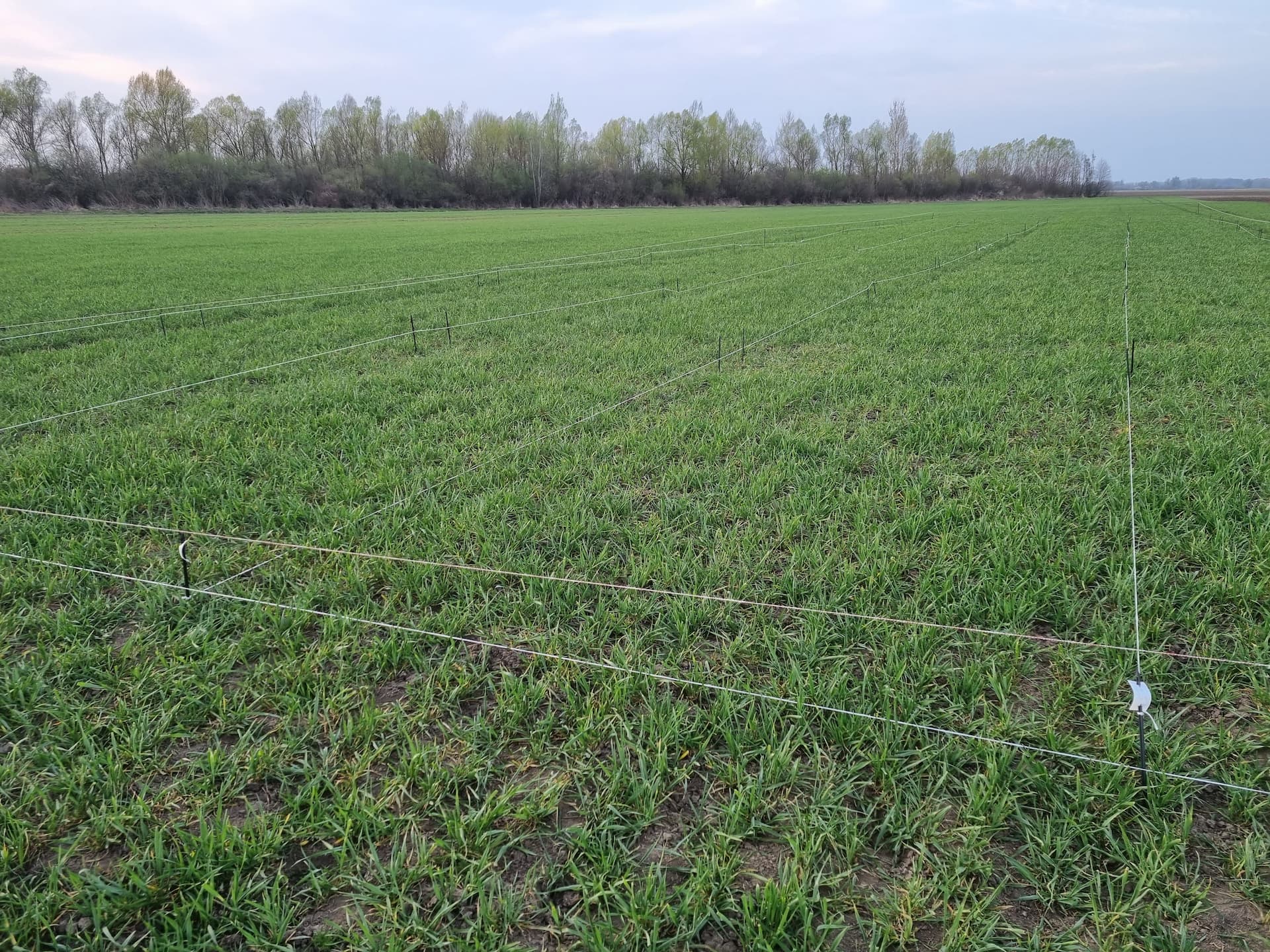 Tvrtka PEST PRO nudi istraživanja različitih kategorija sredstava za zaštitu bilja u Hrvatskoj: • fungicidi • herbicidi • insekticidi/akaricidi • regulatori rasta biljaka • nematocidi • limacidi • biopesticidi (biotehnološki pripravci) • ostala sredstva (biostimulatori, pomoćna sredstva…)