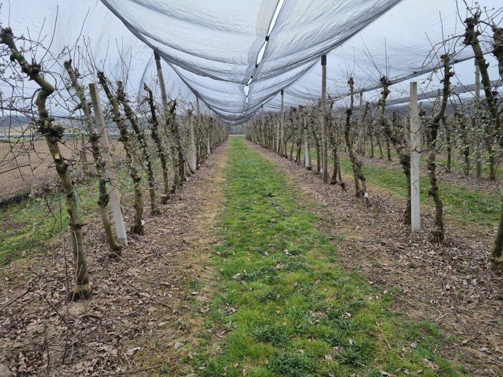 Tvrtka PEST PRO nudi istraživanja različitih kategorija sredstava za zaštitu bilja u Hrvatskoj