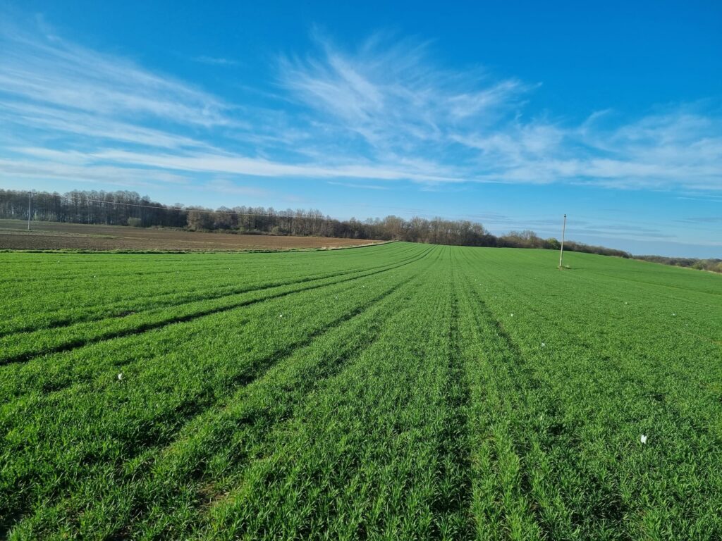 poljski pokusi u Hrvatskoj