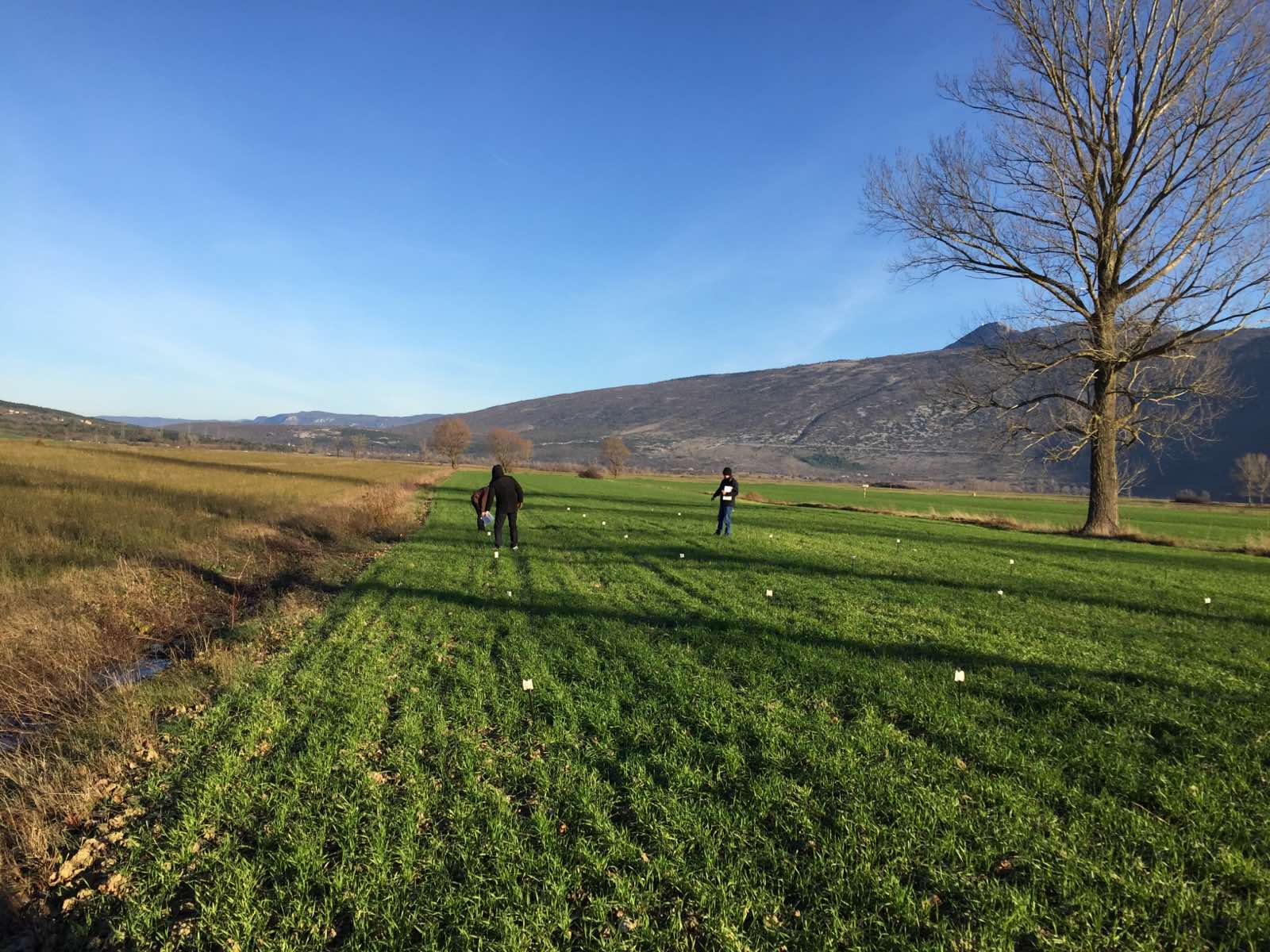 tvrtka za registraciju sredstava za zaštitu bilja i istraživanja poljskih pokusa